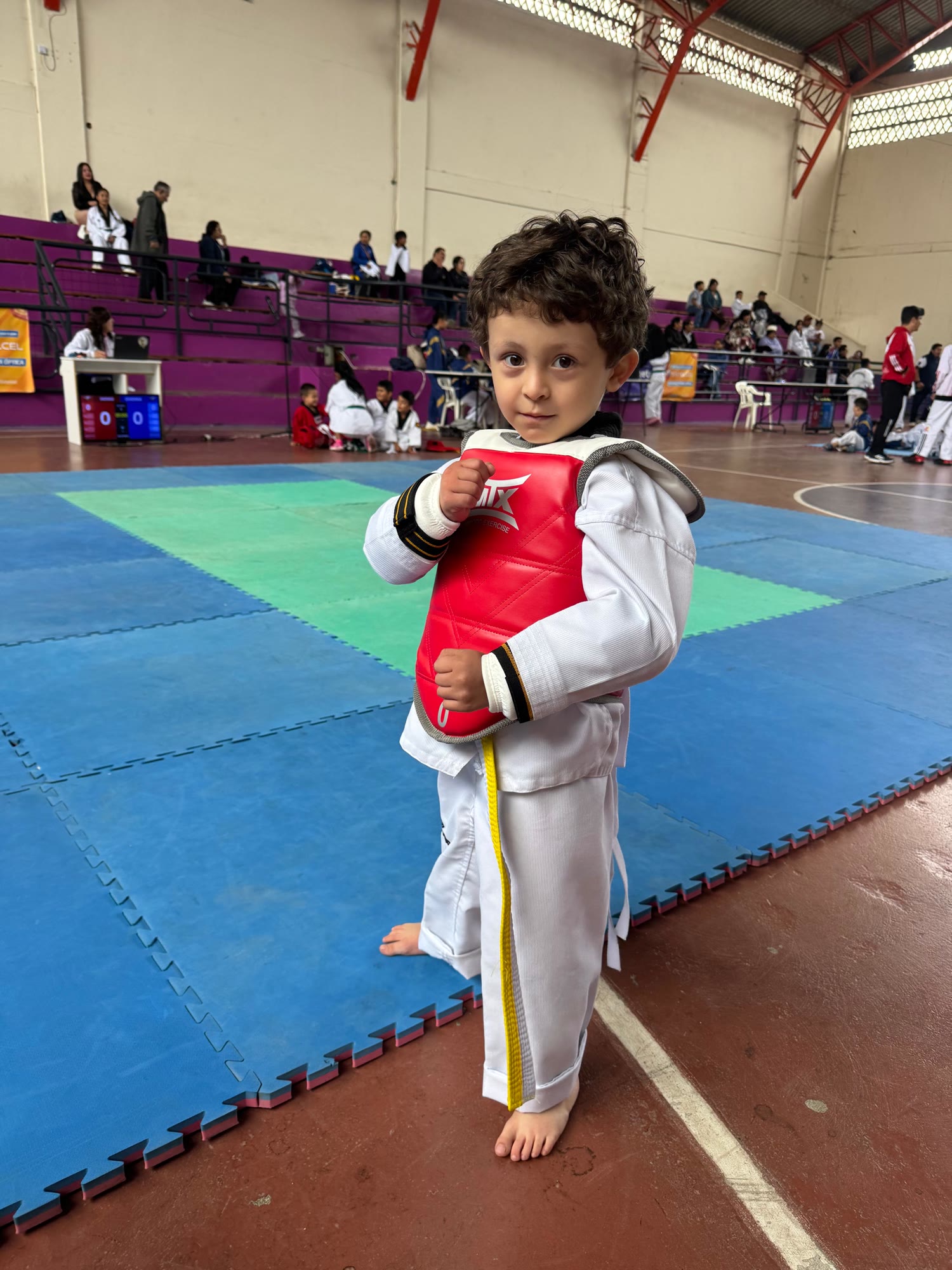 Resultados y ranking